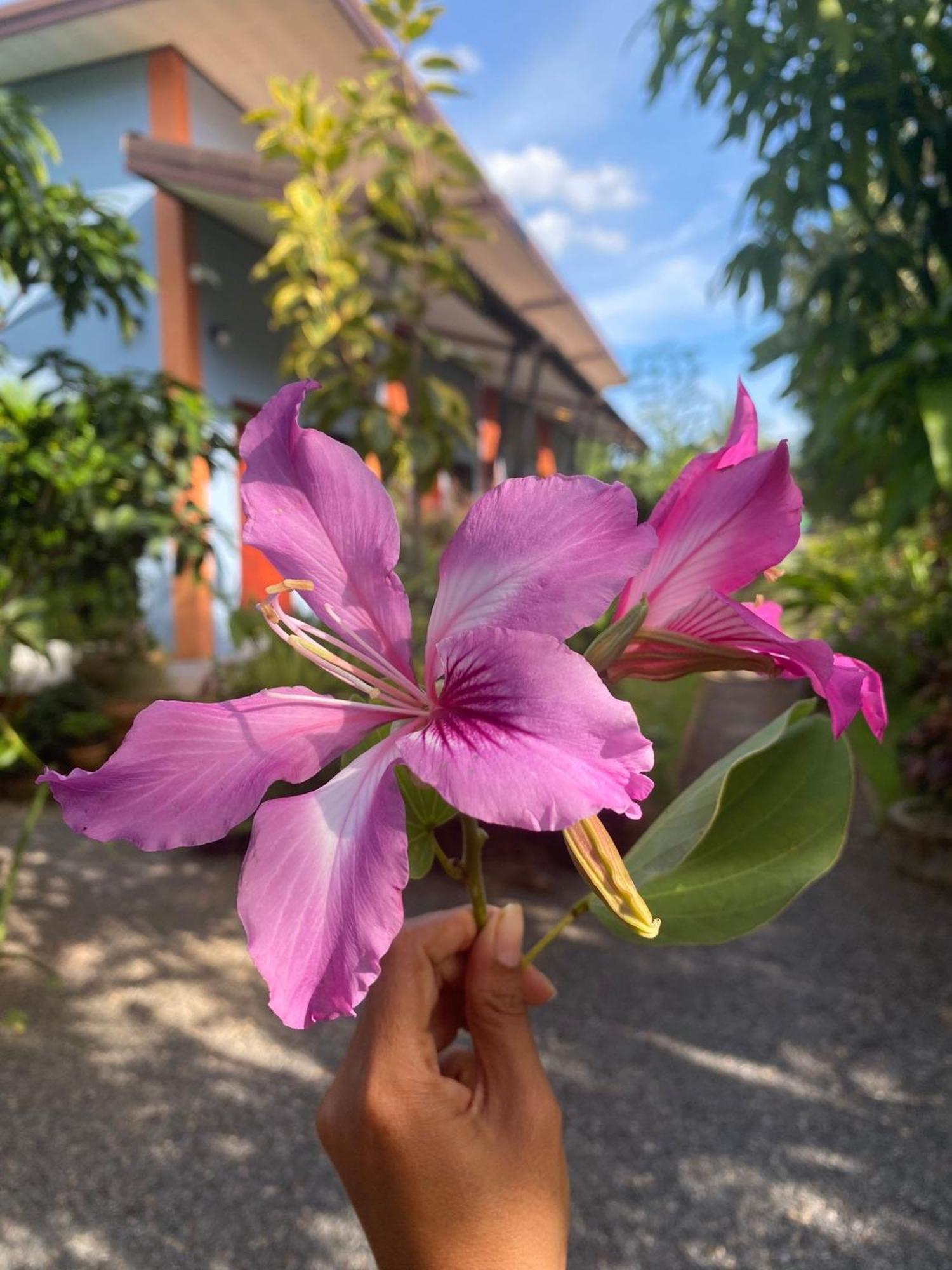 Villafarmsuk@Khanom Ngoại thất bức ảnh